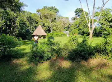 Mpanga Forest Camp, Mpigi l Global Afric Safaris