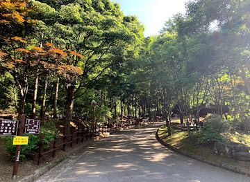 south-korea/chuncheon/attraction/kangwon-national-forest-cheheomjang