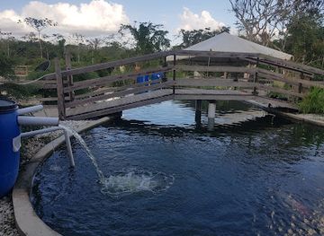 trinidad-and-tobago/st-patrick/attraction/samsara-nature-park