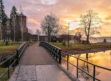 finland/savo/attraction/olavinlinna-black-ram