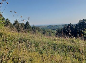 serbia/fruska-gora-national-park/attraction/suma-borova