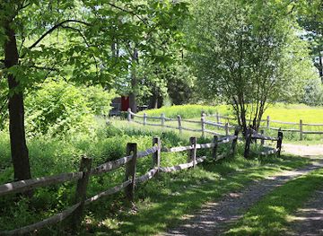 massachusetts/south-shore/attraction/mass-audubon-s-rough-meadows-wildlife-sanctuary