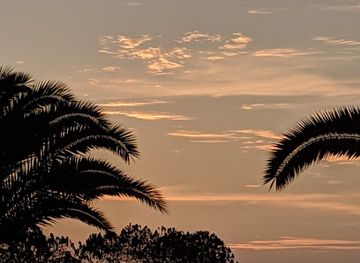 peru/north-coast/attraction/el-senorio-de-sulco