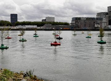 netherlands/rijnmond/attraction/erasmusbrug