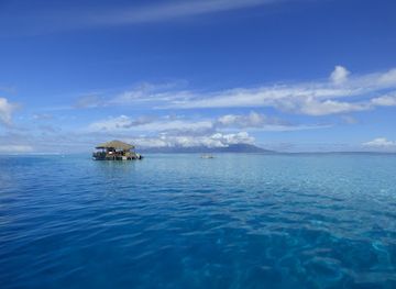 french-polynesia/windward-islands/attraction/tahiti-lagoon-paradise