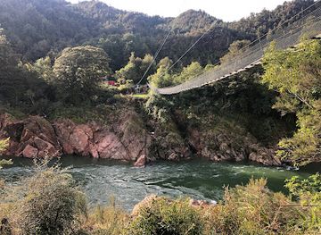 new-zealand/west-coast/attraction/buller-gorge-swing-bridge