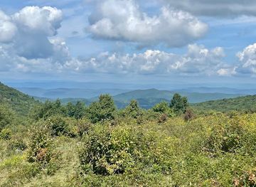 virginia/mount-rogers-national-recreation-area/attraction/appalachian-horseback-riding-adventures