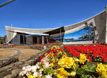 new-zealand/whangarei/attraction/claphams-national-clock-museum