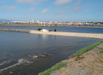 portugal/aveiro/attraction/municipal-center-of-environmental-interpretation