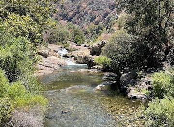 california/sequoia-national-park/attraction/hospital-rock-picnic-area