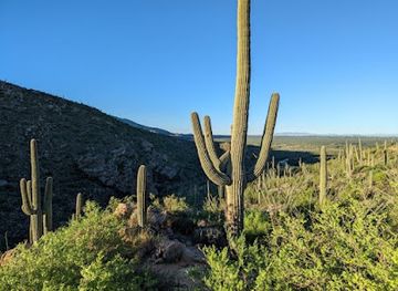 arizona/saguaro-national-park/attraction/tanque-verde-falls
