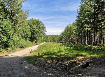 Amerongse Bos
