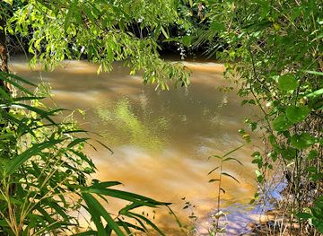 south-carolina/upstate/attraction/rocky-river-nature-park