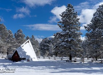 arizona/san-francisco-peaks/attraction/chapel-of-the-holy-dove