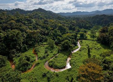 honduras/rio-platano-biosphere-reserve/attraction/reserva-de-la-biosfera-del-rio-platano