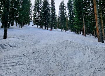 utah/park-city/attraction/anchor-trees