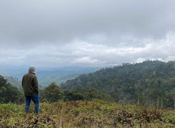 malaysia/kinabalu-national-park/attraction/newton-tree-viewpoint