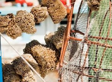 florida/clearwater/attraction/tarpon-springs-sponge-docks