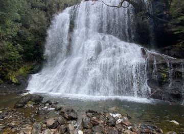 australia/tasmanian-wilderness/attraction/champagne-falls