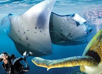 indonesia/bali/attraction/diving-indo