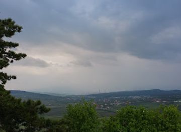 romania/salaj/attraction/monument-of-mihai-viteazul