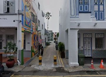 singapore/chinatown/attraction/the-working-capitol-mural-by-ripple-root