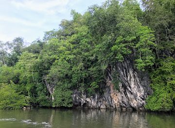 thailand/trang/attraction/khao-chom-pa-mangroves-viewpoint