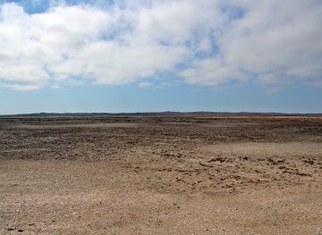 namibia/erongo/attraction/lichen-field