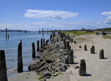 washington/marysville/attraction/jetty-island