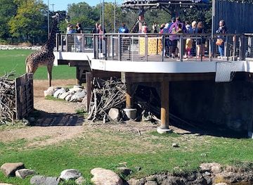 ohio/maumee-valley/attraction/toledo-zoo