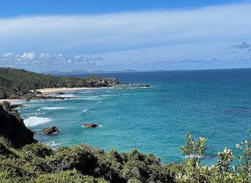 australia/mid-north-coast/attraction/sea-acres-rainforest-boardwalk