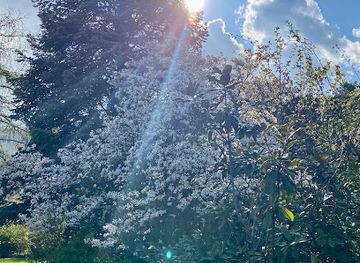 slovakia/trnava/attraction/naucny-chodnik-byvala-botanicka-zahrada