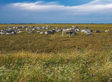 hungary/southern-great-plain/attraction/apaj-rece-tanosveny