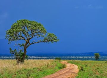 uganda/mbarara/attraction/rohimo-tours-safaris
