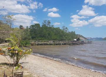 philippines/palawan/attraction/kingfisher-park