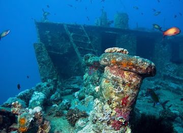 israel/red-sea-coral-reef/attraction/shoa-b-abu-nuhas