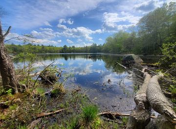 rhode-island/trustom-pond-national-wildlife-refuge/attraction/audubon-maxwell-mays-wildlife-refuge