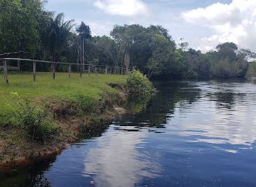 guyana/mazaruni-river/attraction/mahaica-river-birding-tour