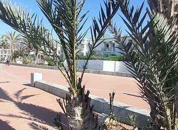 morocco/agadir/attraction/entree-16