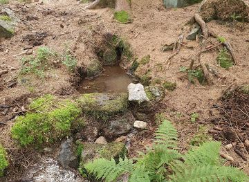 czechia/lipno-dam/attraction/studanka