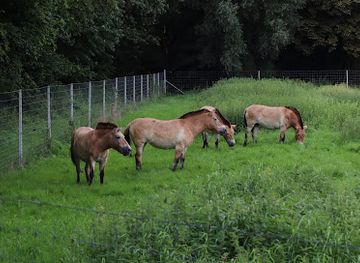 Natuurpark Lelystad