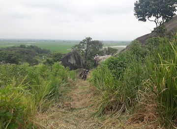ecuador/los-rios-region/attraction/cerro-cachari