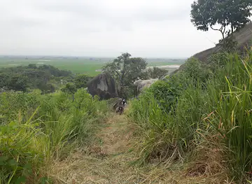 Cerro Cacharí