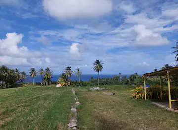 Little Shack Barbados