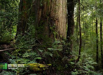 australia/mount-field-national-park/attraction/lady-binney-reserve