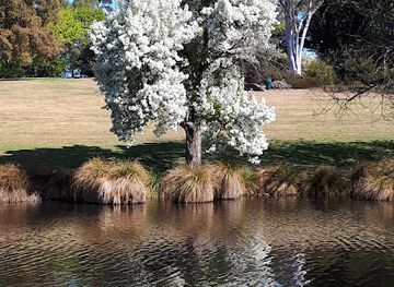 new-zealand/timaru/attraction/botanic-gardens-aviary