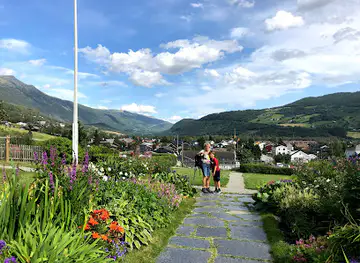 Ullinsvin