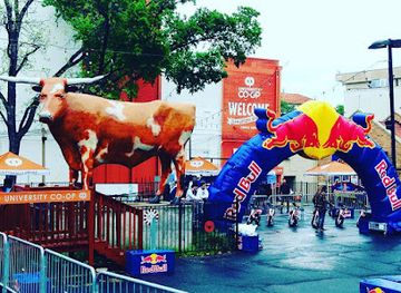 texas/mckinney-falls-state-park/attraction/world-s-largest-longhorn