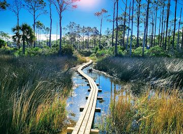 florida/st-george-island/attraction/apalachicola-bay-national-estuarine-research-reserve