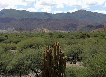 bolivia/gran-chaco/attraction/devil-s-door